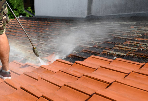 Best Exterior Home Cleaning  in Pemberton Heights, NJ